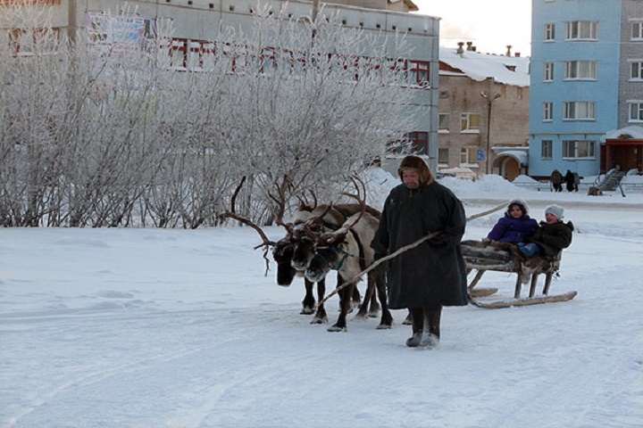 КМНС 2.jpg КМНС 2.jpg